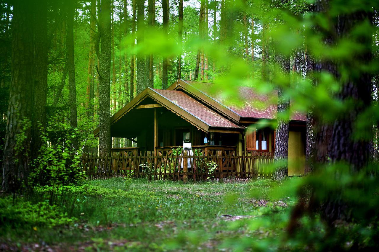Wiatraki Nature Resort Olsztynek Exteriér fotografie